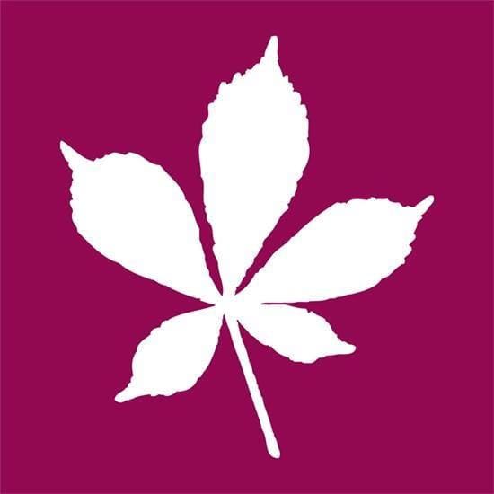 A white silhouette of a five-lobed leaf is centered on a solid magenta background.